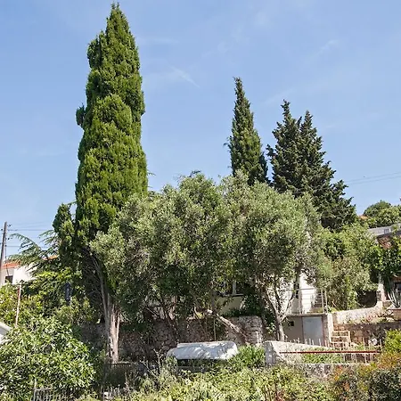 Prázdninový dům Holiday Roki Trogir