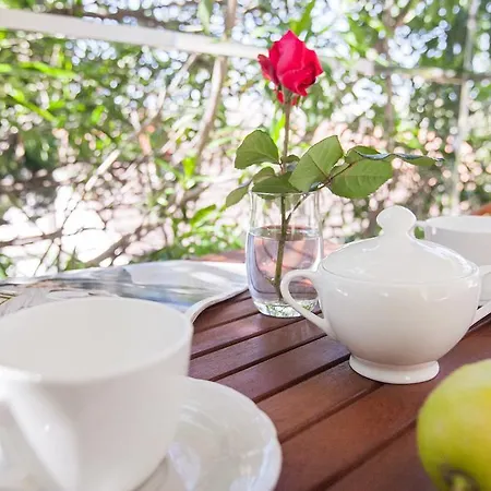 Holiday Roki Holiday home Trogir